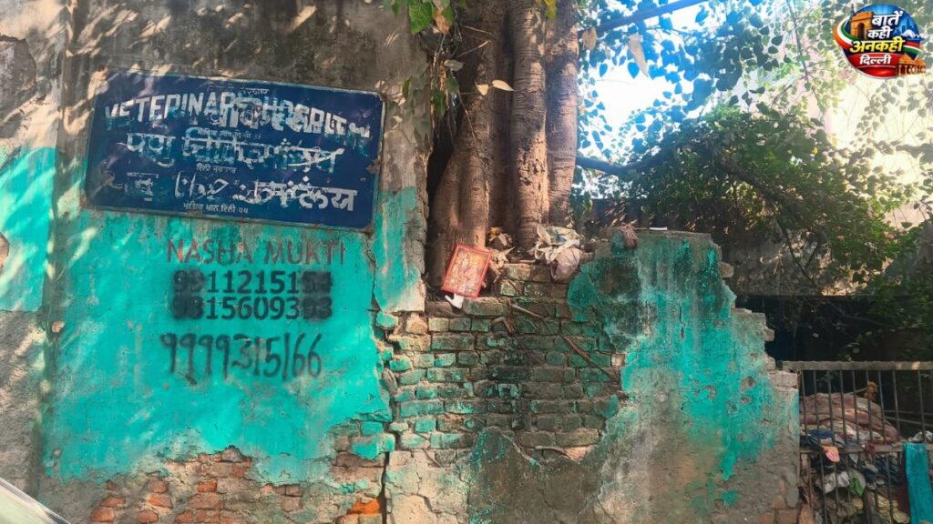 Unsafe veterinary hospital building in Ramkumar Marg with high accident risk